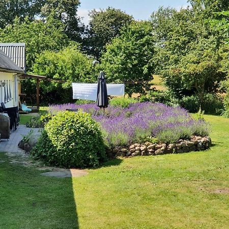 Knebel Rolso Retreatヴィラ エクステリア 写真