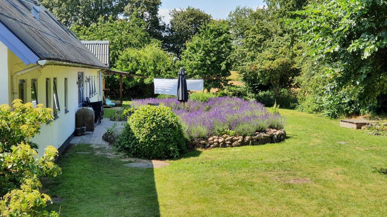 Knebel Rolso Retreatヴィラ エクステリア 写真