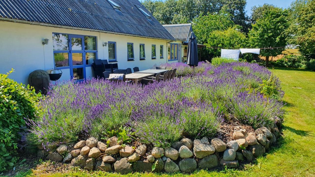 Knebel Rolso Retreatヴィラ エクステリア 写真